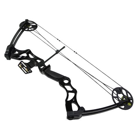 50-70 lb Black Archery Hunting Compound Bow 150 55 25 Crossbow Arrows ...