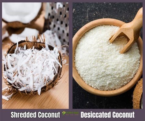 Desiccated Vs Shredded Coconut Big Differences To Tell