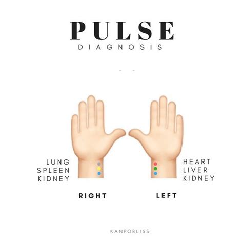 In Tcm Pulse Diagnosis Is A Tool That Practitioners Use To Assess The