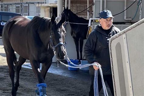 ユーバーレーベンが美浦トレセンを退厩 野島厩務員「こんなに寂しくなるとは思いませんでした」 サンスポzbat