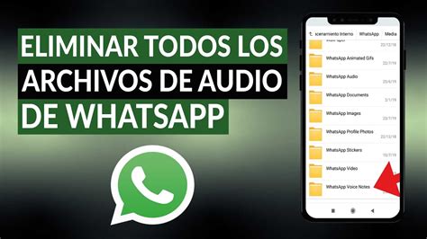 Cómo eliminar todos los archivos de audio de WHATSAPP Guía paso a