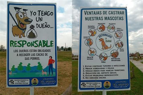 desbloquear pastel débiles cartel sobre cuidado de los animales