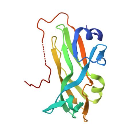 Rcsb Pdb 8y1w Crystal Structure Of Thermococcus Pacificus Dutpase Complexed With Dump