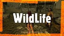 Skyrim Videos XVIDEOS