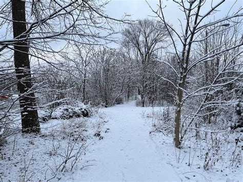 Winter Wonderland at the Toronto Botanical Garden - Toronto Botanical ...