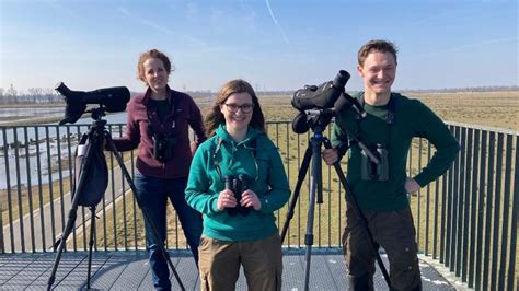 Vogelaars Wat Zijn Dat Voor Mensen Vroege Vogels Bnnvara Nel