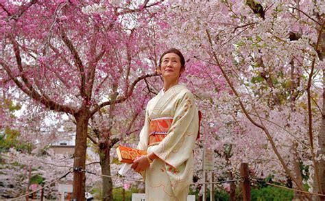 The Japanese Tradition Of Hanami Rituals Rituals Malaysia