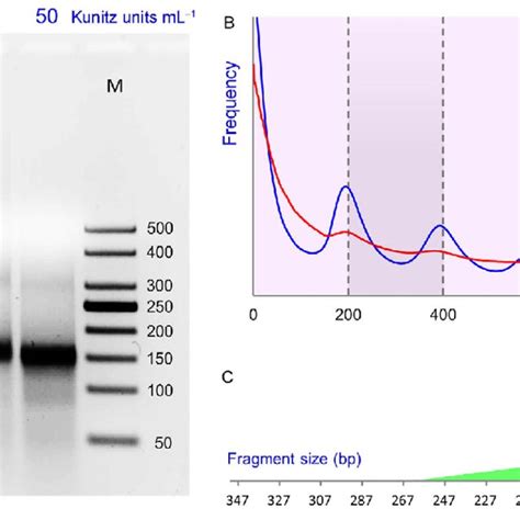 Mic Mnase Digestion And Mono Nucleosomal Dna Sequencing Mnase Seq A