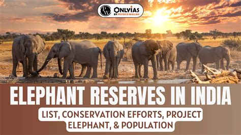 Elephant Reserves In India 2024 Emelda Kirstyn