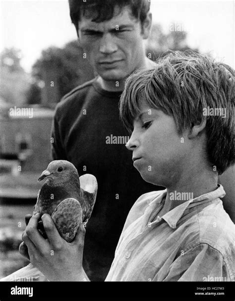 MEDIUM COOL, Robert Forster, Harold Blankenship, 1969 Stock Photo - Alamy