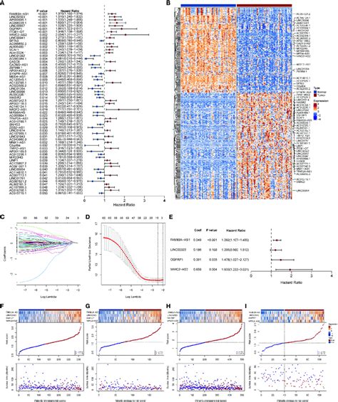 Extraction Of Necroptosis Related Lncrna Signature And Construction Of