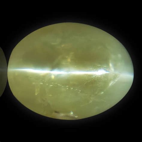 Green Cats Eye Stone at Rs 30 carat कट आई सटन in Jaipur ID