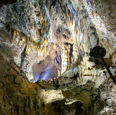 Le Domaine Des Grottes De Han Une Immersion Nature En Belgique Un