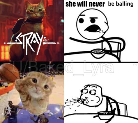 Cat from Stray is Balling : stray