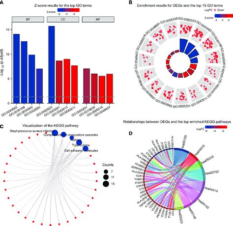 Kegg And Go Enrichment Analysis Of Degs A Z Score Results For The