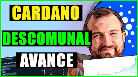 Tienes Que Ver Esto Cardano Superando A Ethereum Cardano Y Marco