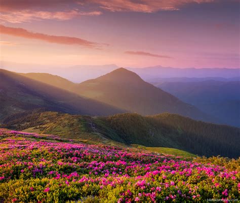 Summer Carpathian Mountains Ukraine Biletskiy Evgeniy Photography