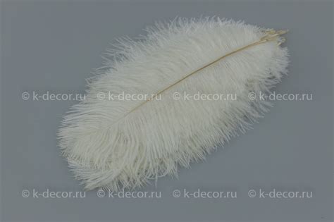 Перья страусиные натуральные (10шт в уп.) | K-Decor