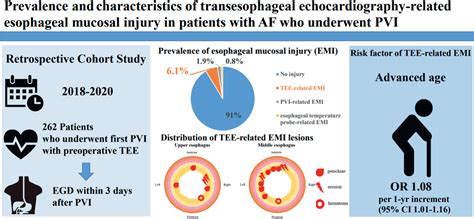 Prevalence And Characteristics Of Transesophageal Echocardiography