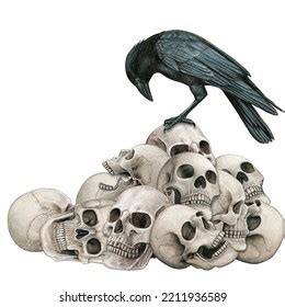 Watercolor Hand Drawn Skull Crow Stock Illustration 2211936589 ...