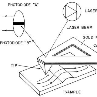 Working principle of the atomic force microscope (AFM). | Download ...