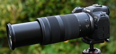 Canon RF 100-400mm f/5.6-8 IS USM review | Digital Camera World