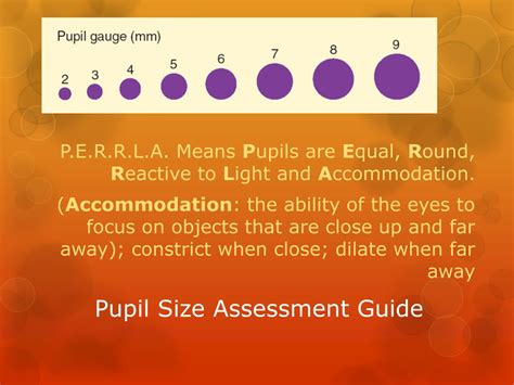 Ppt Chapter 13 Physical Assessment Powerpoint Presentation Free