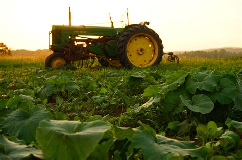 Free Images Plant Tractor Field Farm Flower Summer Green