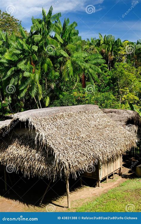 Amazon Indian Tribes in Colombia Stock Photo - Image of animal, green ...