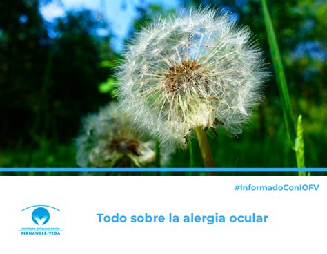 Alergia Ocular Tipos De Alergias En Los Ojos Y Cómo Prevenirlas