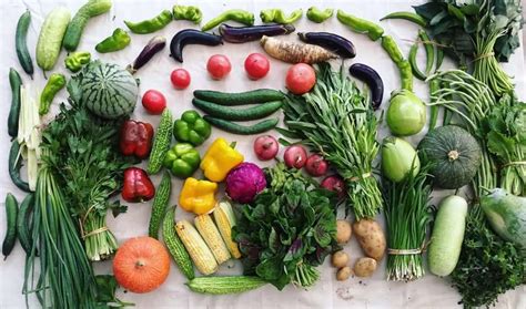 fresh organic vegetables delivered   door  alfredo grove blog