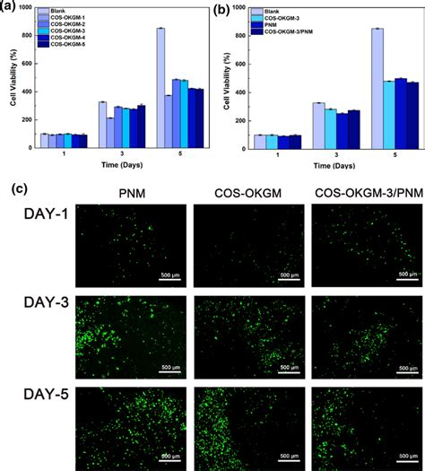 A B Cell Viability C Live Dead Staining Of L Cells In Contact With