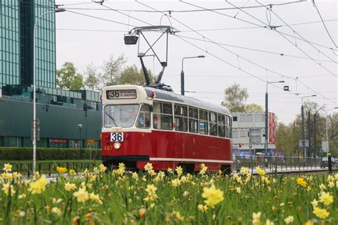 Warszawskie Linie Turystyczne Warszawski Transport Publiczny