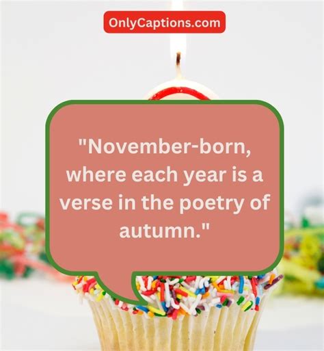 910+ Quotes About Birthday In November (2024) Epic Wishes