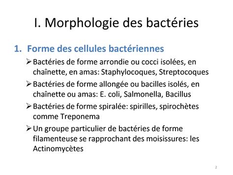 Solution Microbiologie Generale Chapitre Morphologie Et