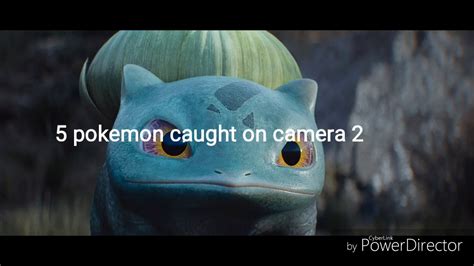 5 Pokemon Caught On Camera And Spotted In Real Life 2 YouTube