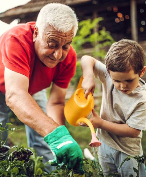 Grandparents Raising Grandchildren A Health Guide