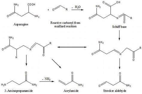 mitigation  acrylamide  foods  african perspective intechopen