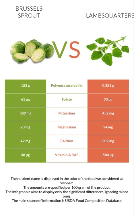 Brussels Sprouts Vs Lambsquarters In Depth Nutrition Comparison