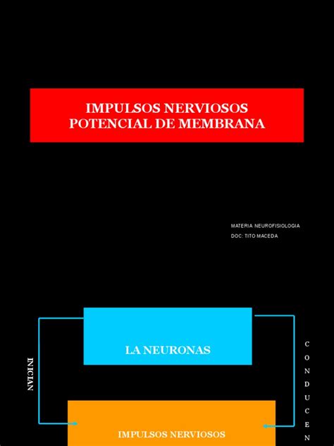 Potencial De Accion Modulo3 Neurofisiologia Descargar Gratis Pdf Potencial De Acción