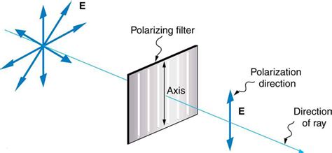 Define Polarization - QS Study