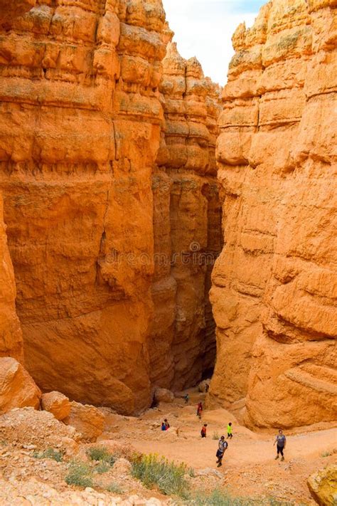 Hiking Between The Eroded Rocks Of Bryce Canyon Utah Editorial Stock