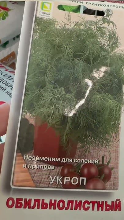 Как выбрать укроп: какие сорта для зелени, а какие для зонтиков☂️#shots ...