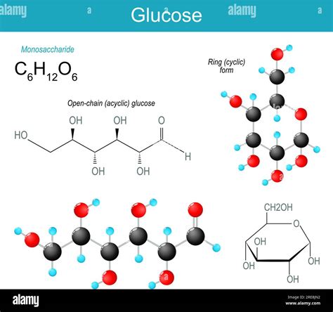 Molécula De Glucosa Fórmula Estructural Química Molecular Y Modelo De Glucosa Acíclica De