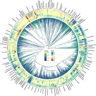 Spatial Distributions Of Avian Sex Role Components Ae Show The Mean