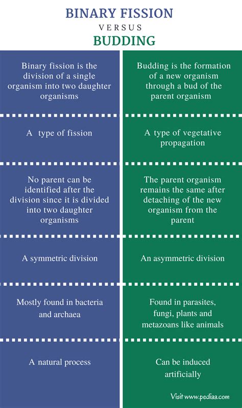 Venn Diagram Of Chloroplasts And Mitochondria Difference Between