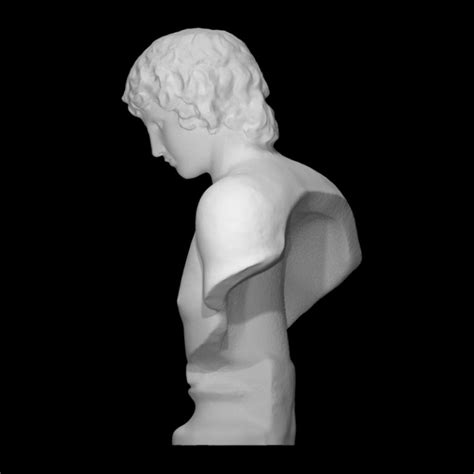 D Printable Bust Of Antinous By Scan The World