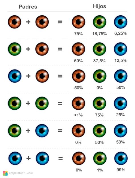 Padres Con Ojos Marrones E Hijo Con Ojos Azules Es Posible Etapa