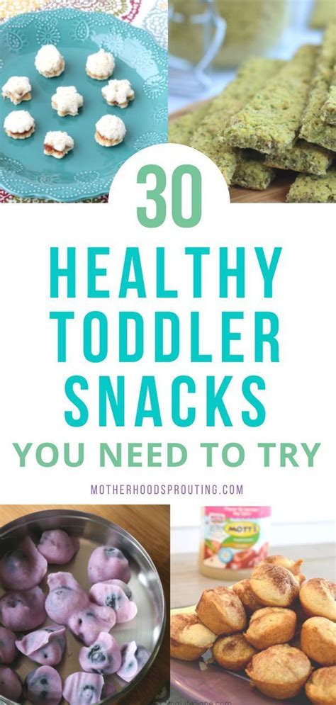 Learn The 30 Healthy Toddler Snacks You Need To Try These Toddler