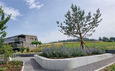 Emmenegger Gartenbau Garten Tiefbau AG Neuanlagen